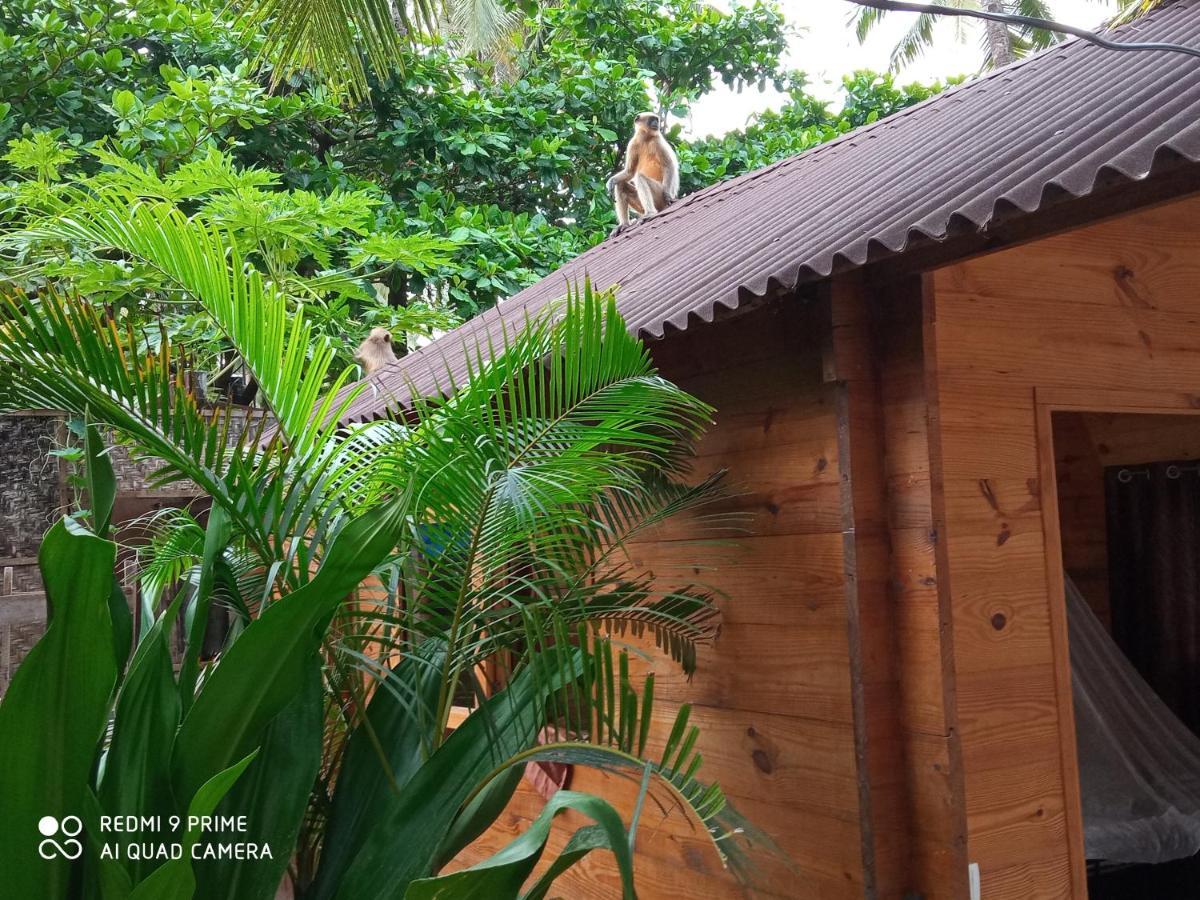 Hotel Magic World Palolem Exterior foto